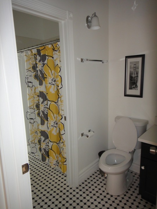 Downstairs bathroom (it's a jack-and-jill with another toilet/sink on the other side of the shower)